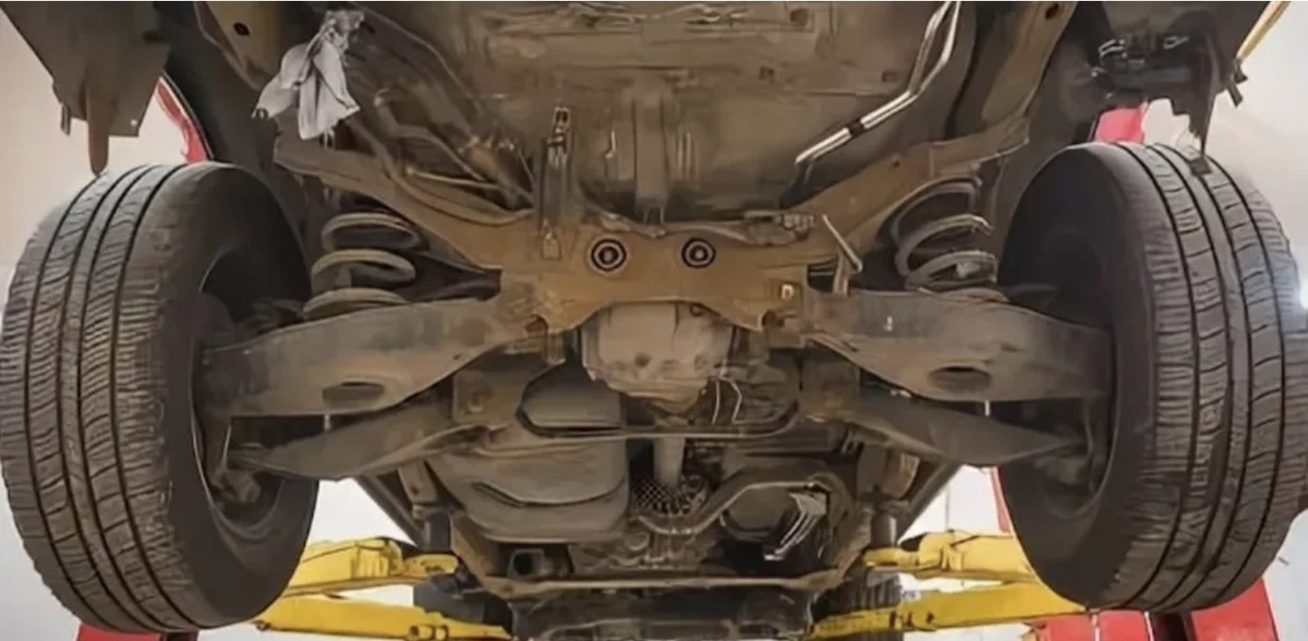 Фото из интернета 