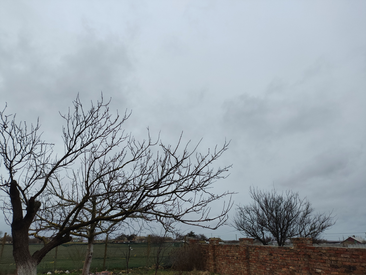 И снова серенькое небо...