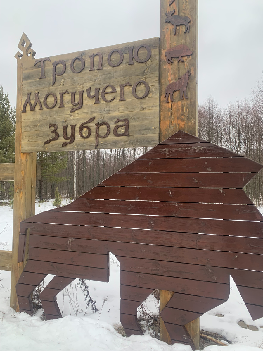 При входе на экотропу к обиталищу зубров