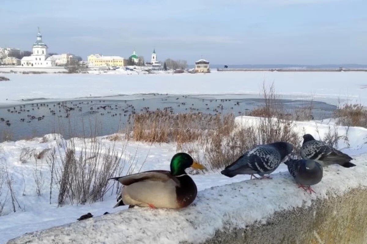    В ожидании ранней полноводной весны.