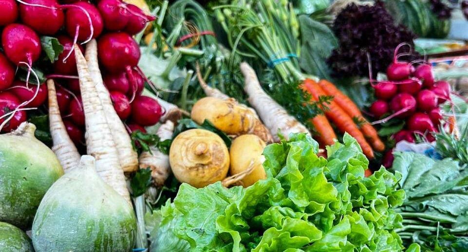    REGIONS/Максим Цыбуляк