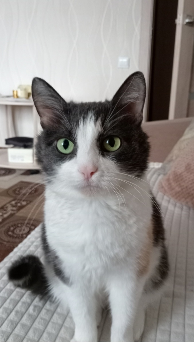 Такая была Наша Снежа 😪 