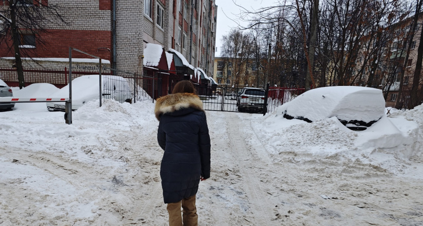    Фото progorod43.ru