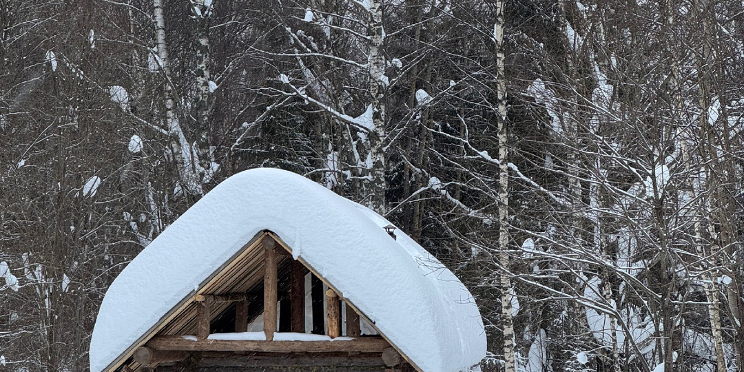 Планы на лесную избушку: пруд, баня и большие идеи на следующий сезон