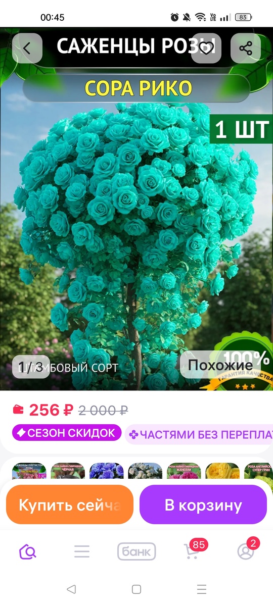 Скриншот из приложения