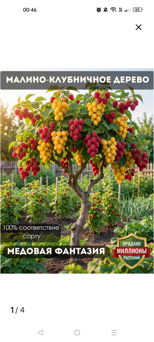 Скриншот из приложения