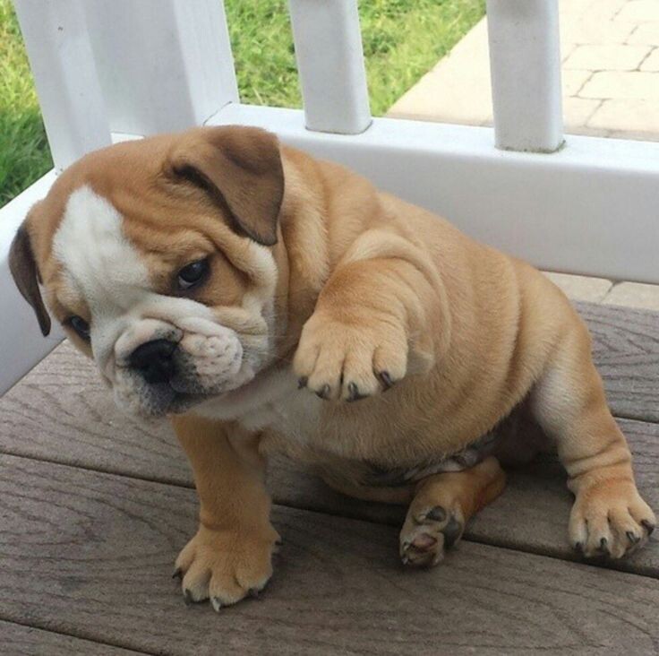 картинка из открытых источников