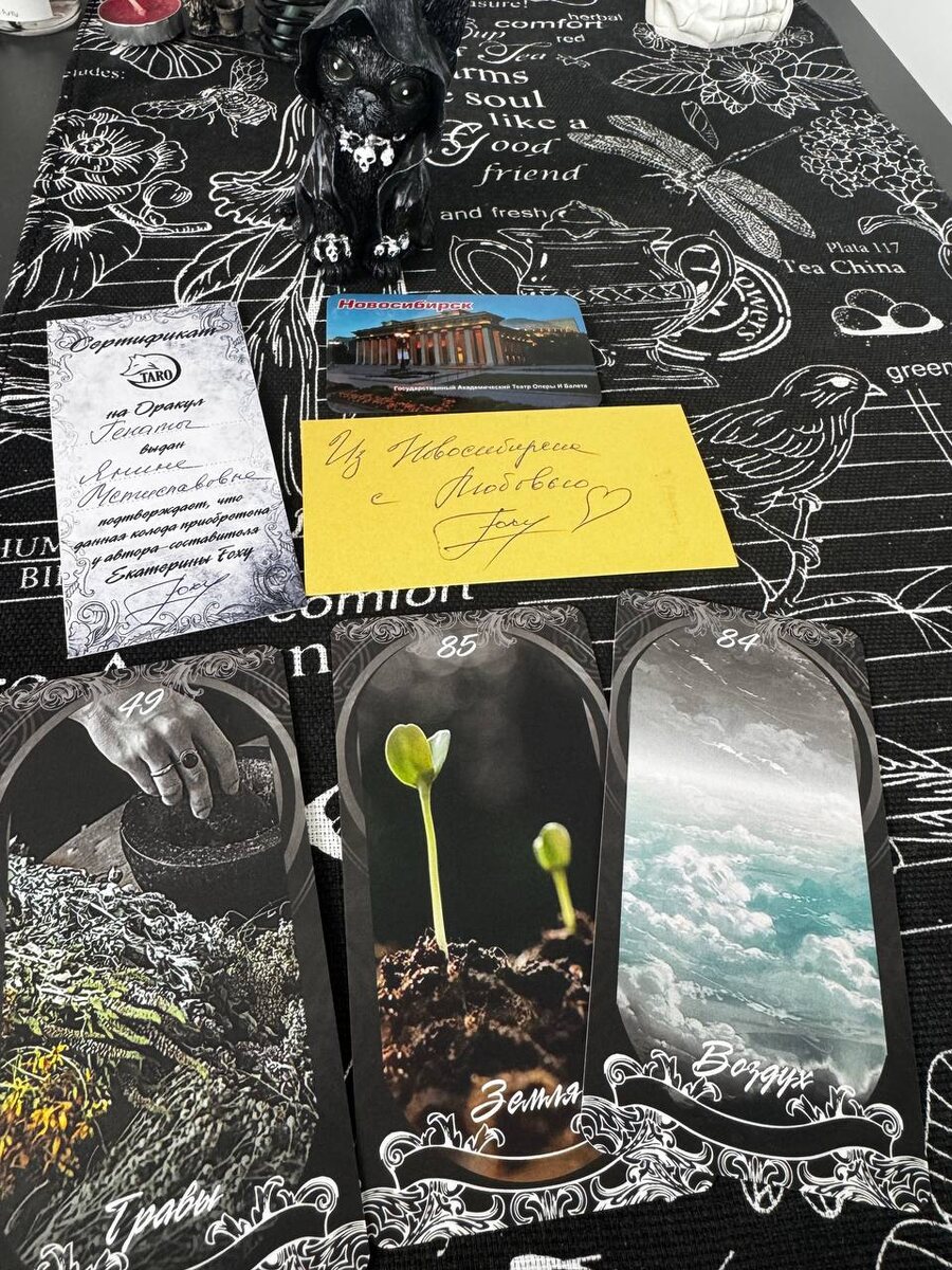 фото автора канала