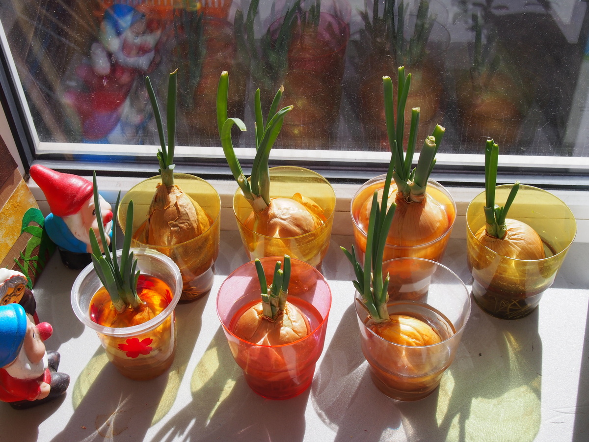    фото: © Мария Голубева