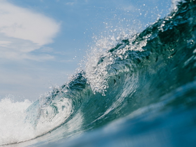     Фото: wirestock/freepik