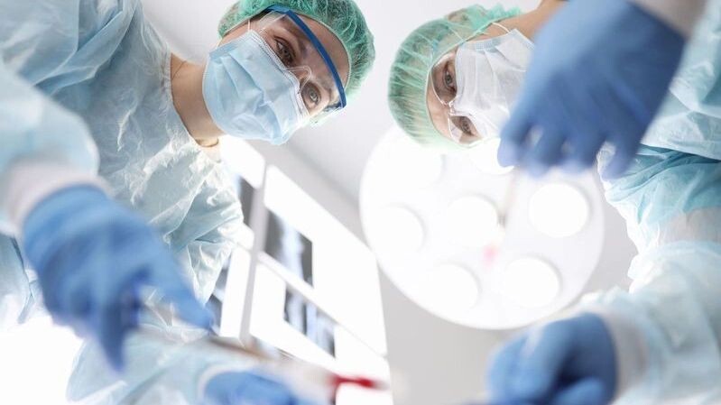    Фото: H_Ko/Shutterstock/Fotodom