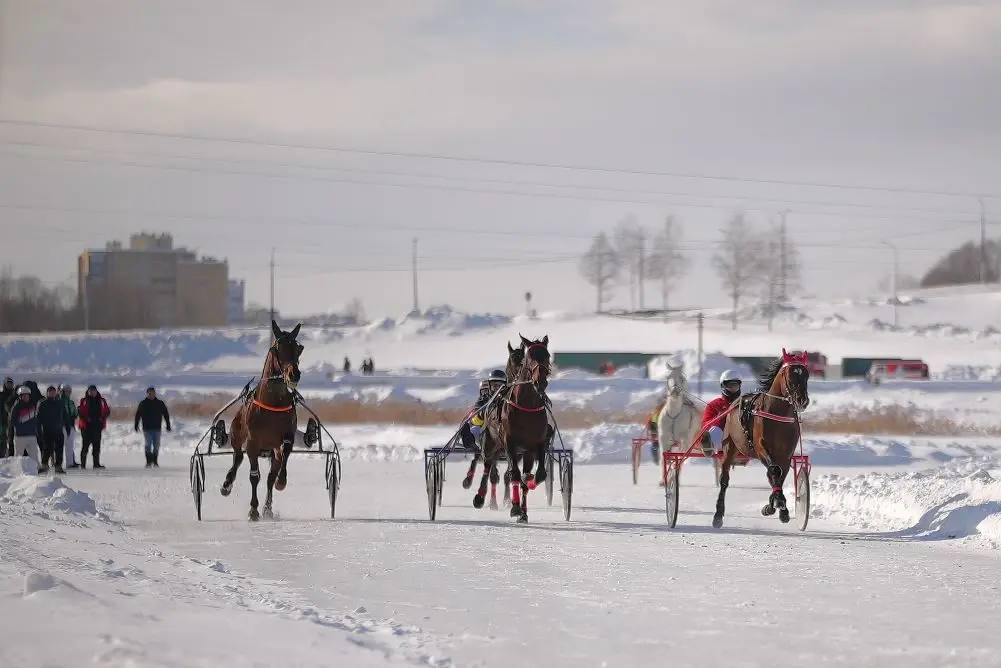    Фото: Администрация Чебоксар, источник: gcheb.cap.ru