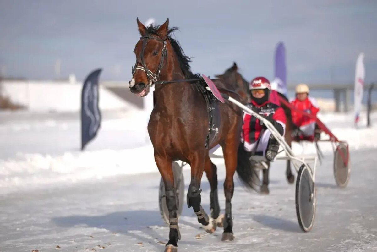    Фото: Администрация Чебоксар, источник: gcheb.cap.ru