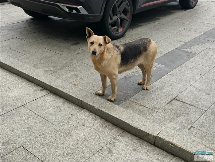    ФОТО: Ламзина Александра