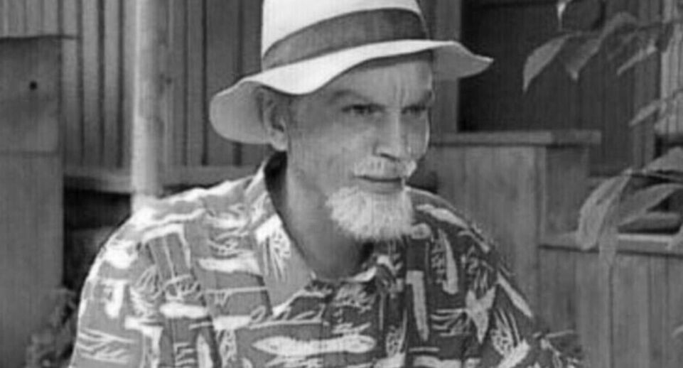    «33 квадратных метра»