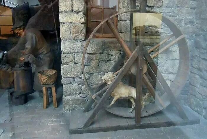 картинка из открытых источников