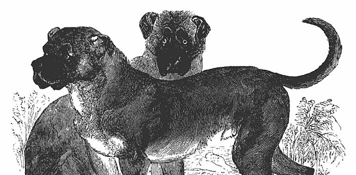 картинка из открытых источников