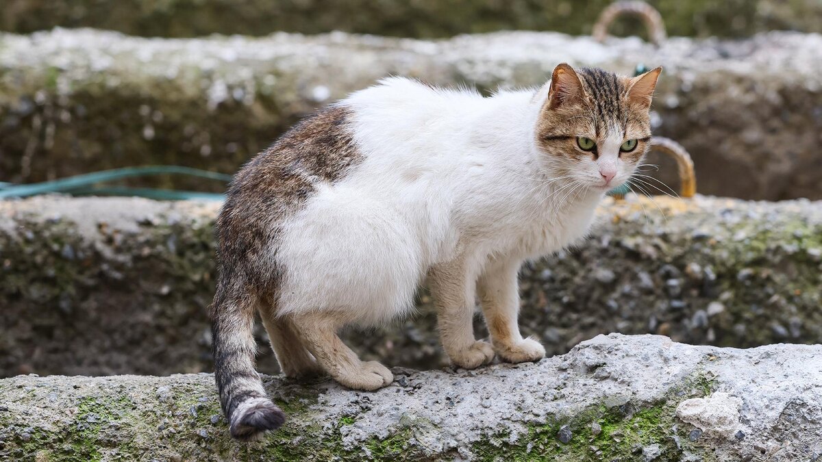    Фото: Belkin Alexey/globallookpress.com