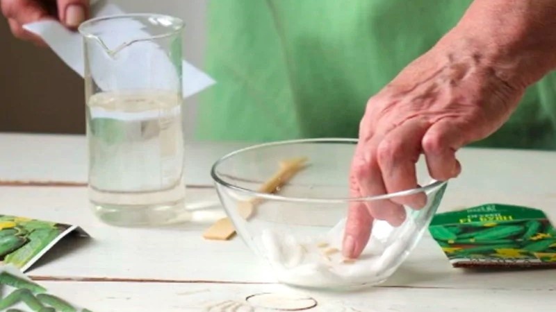 замачиввание семян