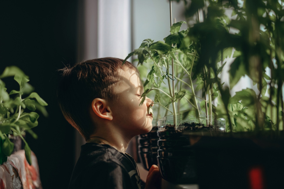    Shutterstock/FOTODOM