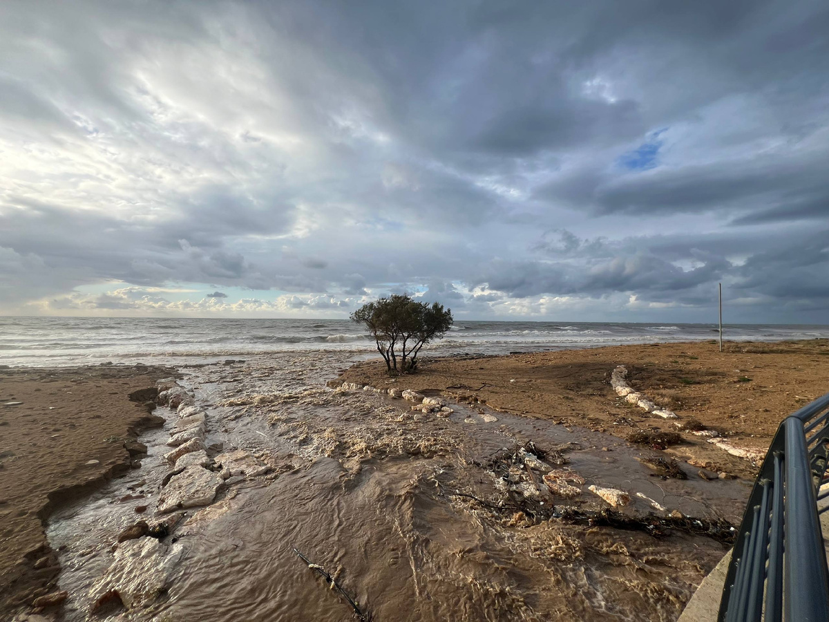 Зимняя Нагария. Буйство природы во всей красе.
