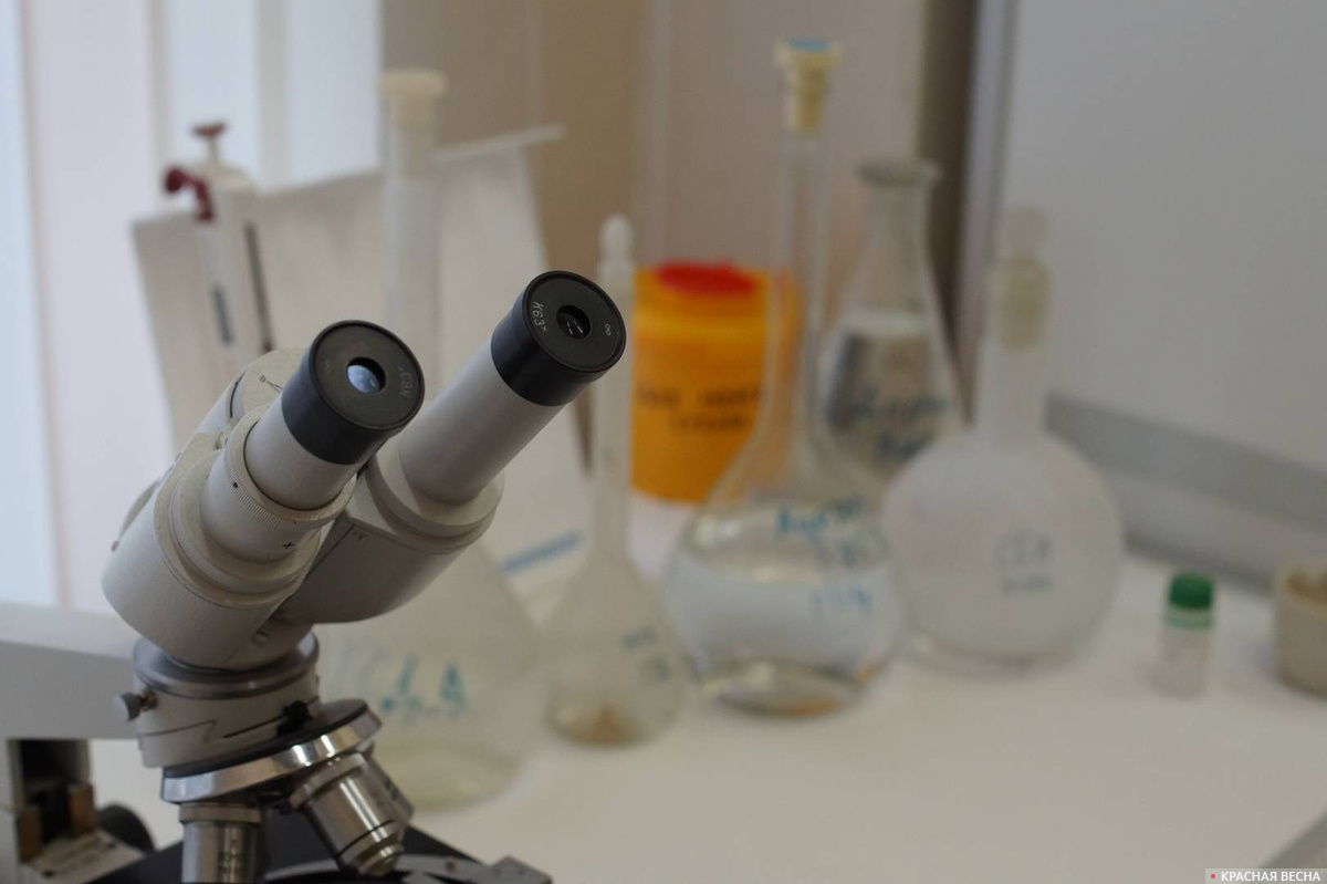     Лаборатория   
Михаил Рифтин (с) ИА Красная Весна