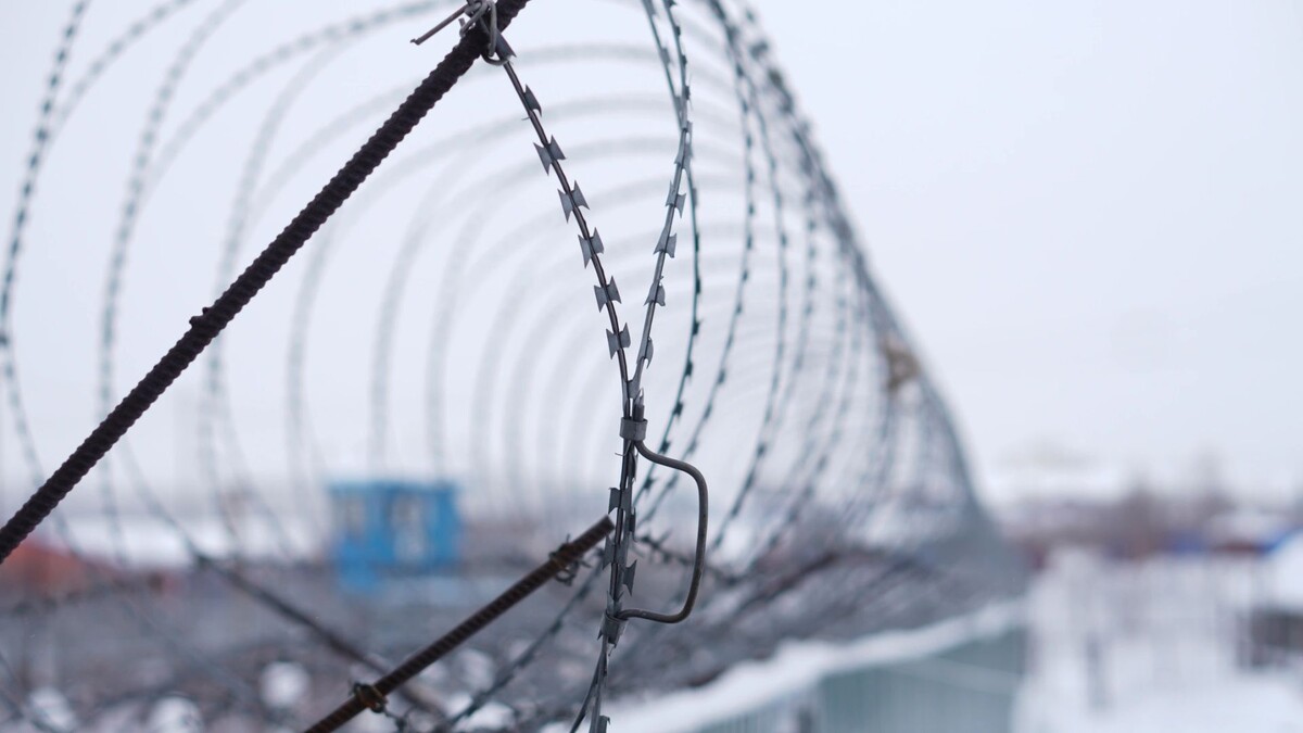    Фото: Юлия Чудинова / «Ямал-Медиа»