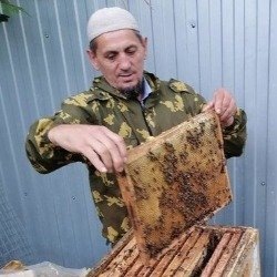    — Пчелы не хотят задешево отдавать мед. Беру в пример подсолнечный мед — есть предложение по 175 рублей за килограмм, а оптовики не хотят покупать. Им нужен «бесплатный мед» — по 150 рублей. Это уже годами такая цена стоит, а работать по ней пчеловоды не хотят, потому что это работа ради работы получается, — сообщил в разговоре с «Реальным временем» председатель РОО «Пчеловоды Татарстана» Шавкат Хайруллин.