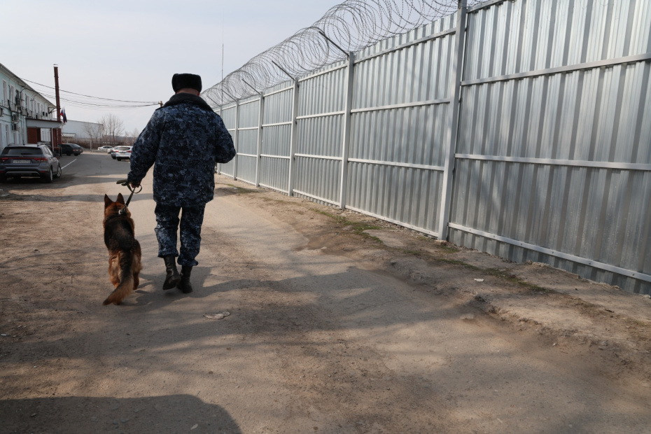    Алексей Белкин/NEWS.ru