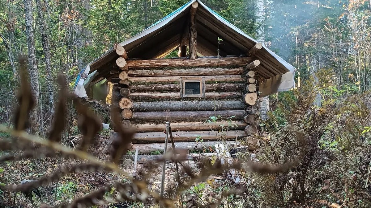 Взято из открытых источников интернета Яндекс.