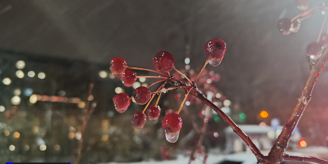 Синоптик Рюхтина рассказала, когда ждать потепления в Томской области