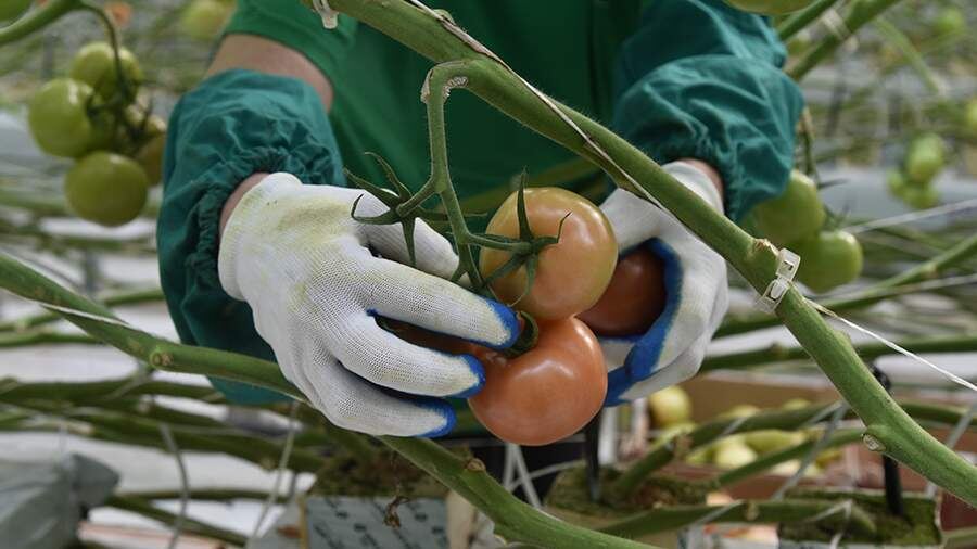    Фото: ИЗВЕСТИЯ/Александр Полегенько