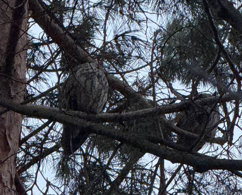      Фото: администрация Железноводска