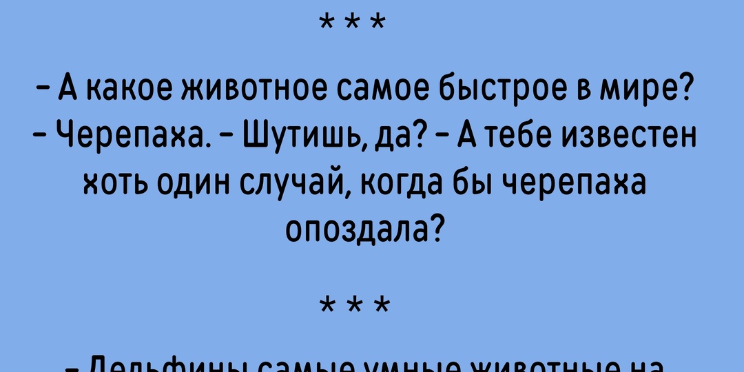 Анекдоты про братьев наших меньших