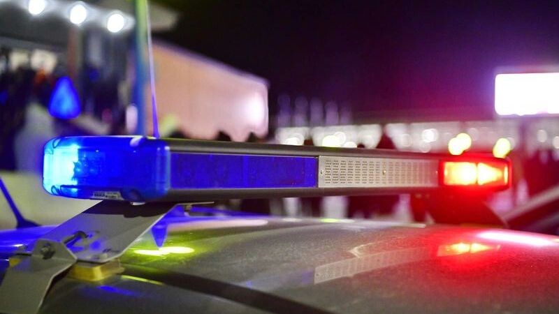    Фото: Андрей Ткачев/«Ямал-Медиа»