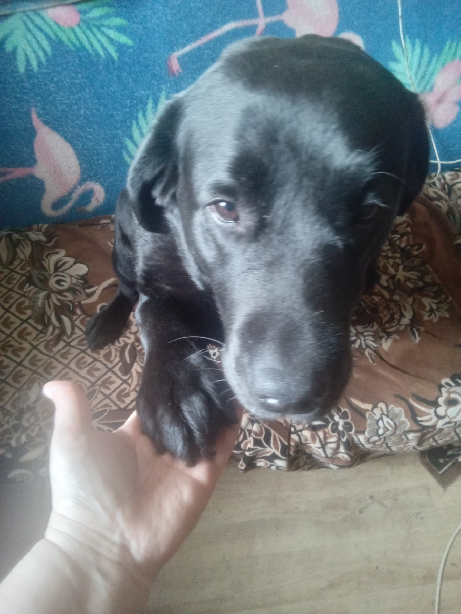 Фото автора. 