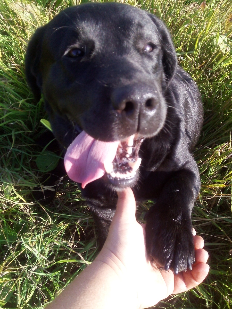 Фото автора. 