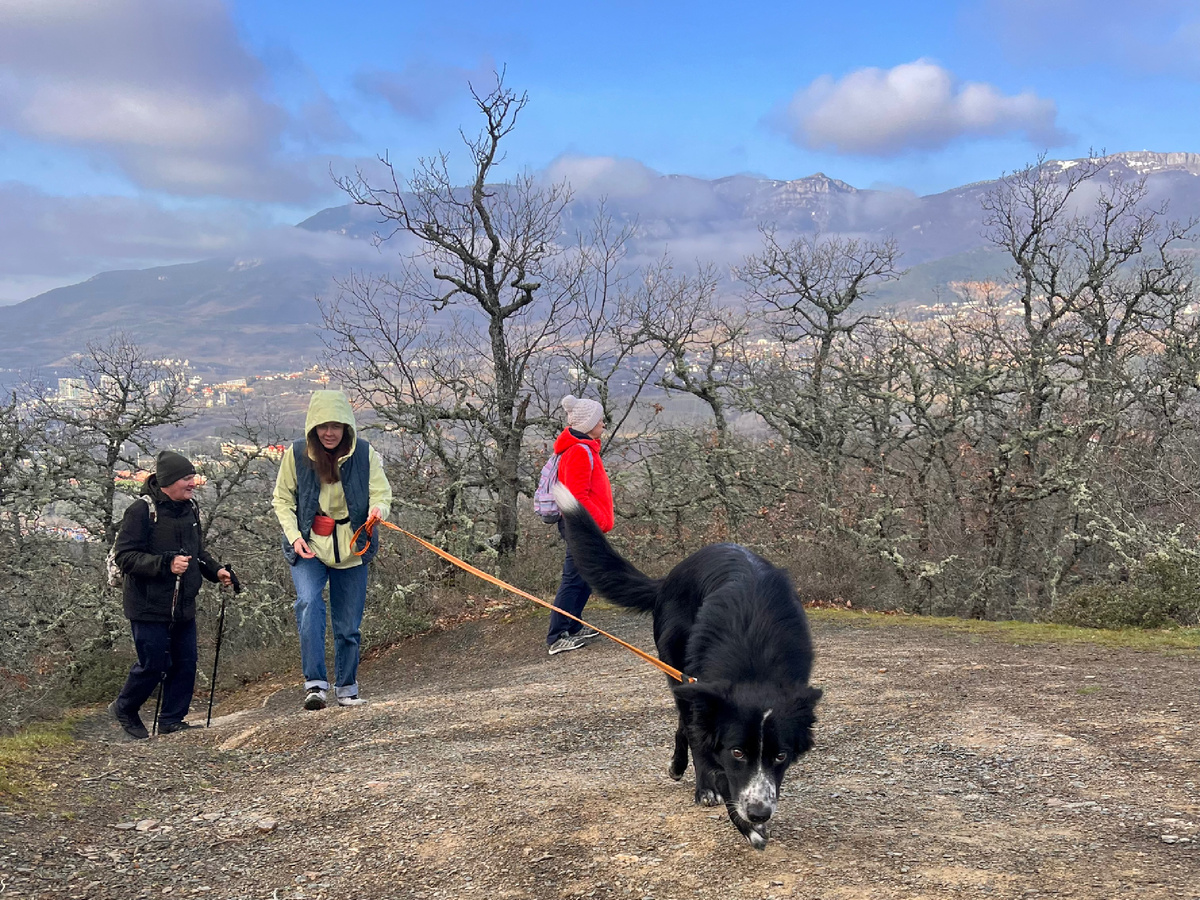 Первый выход нашего Чарли в горы, поход на Аю-Даг.