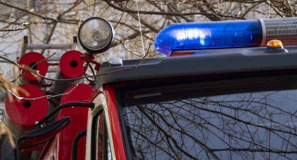    РИА «Новости»