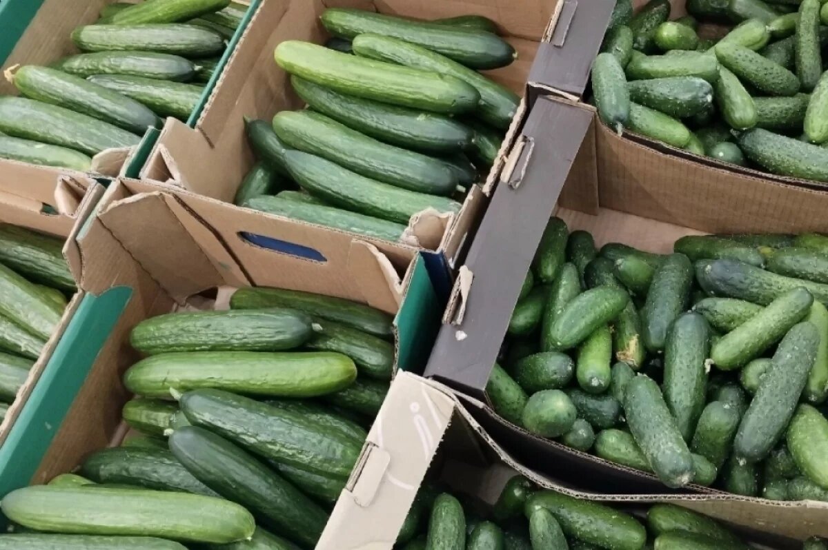    Огурцы в Твери дороже манго и питахайи