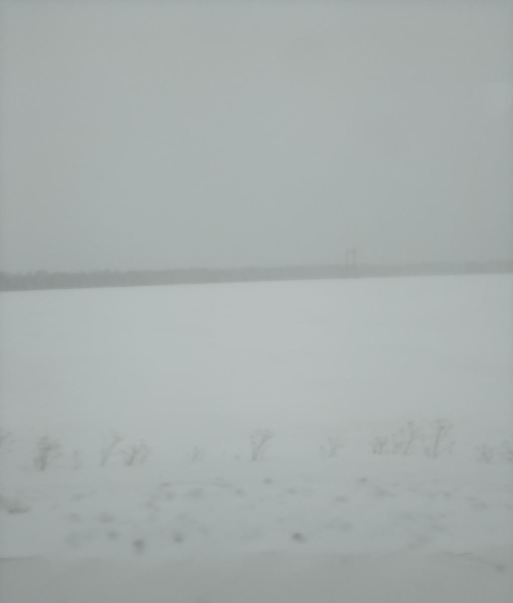 Метель из окна автобуса. В воскресенье, видимо, чучел сожгли недостаточно🤔