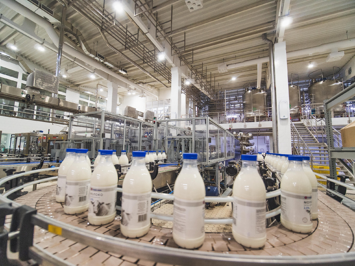 Молокоперерабатывающее производство 