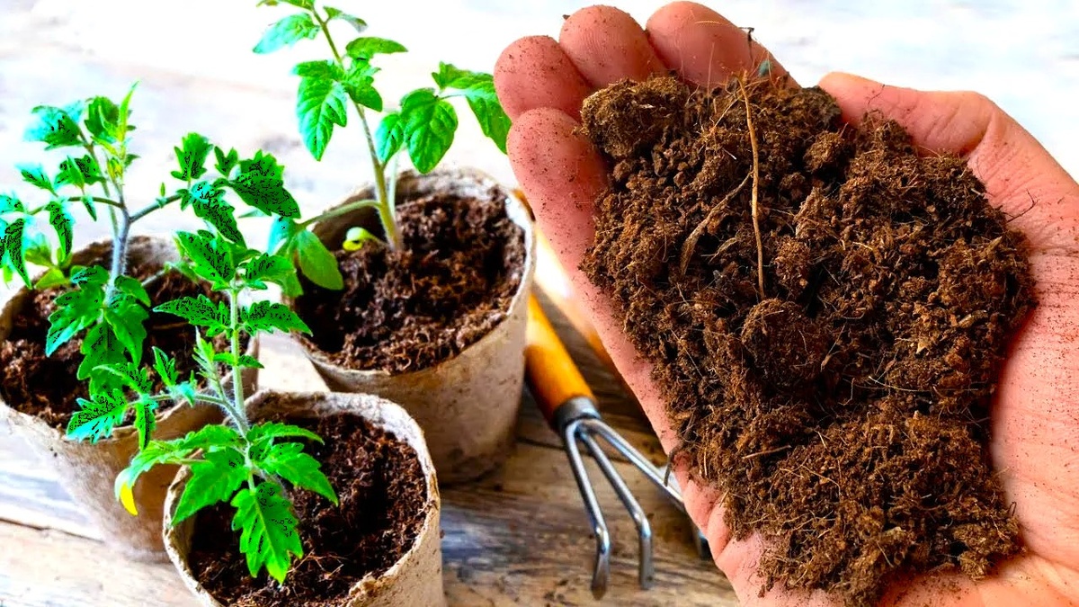 готовим грунт  для рассады самостоятельно