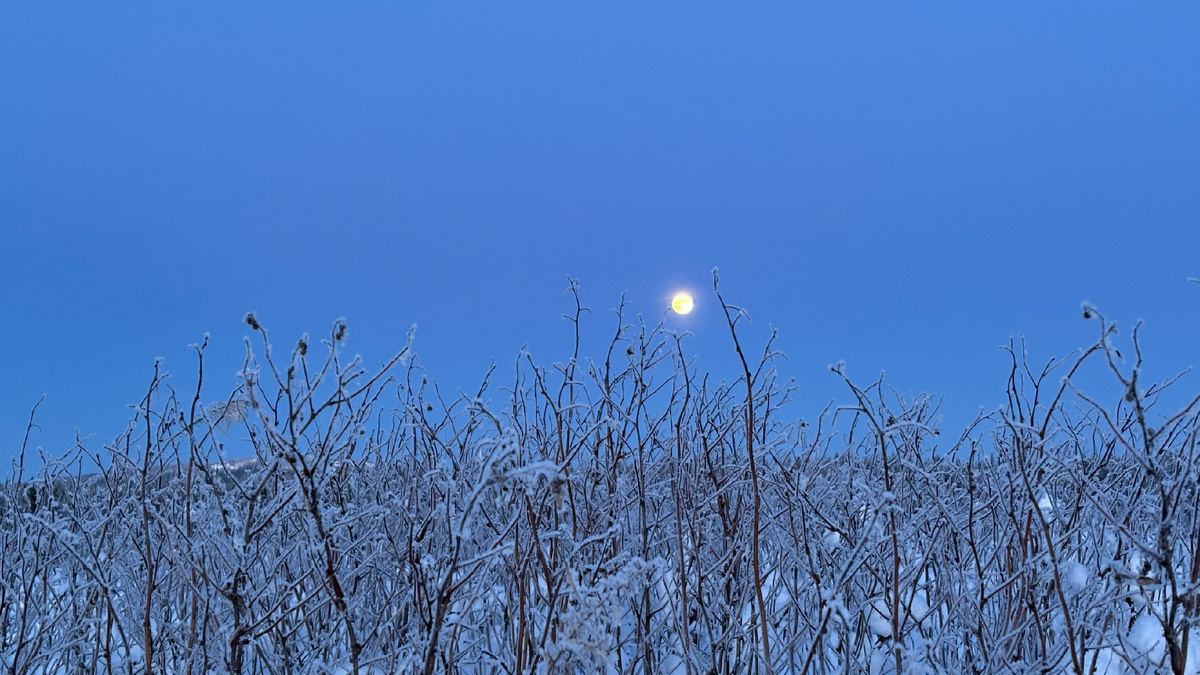 Лунная ночь в Паанаярви