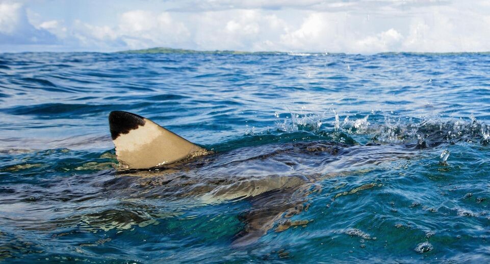    Frank Schneider / www.globallookpress.com