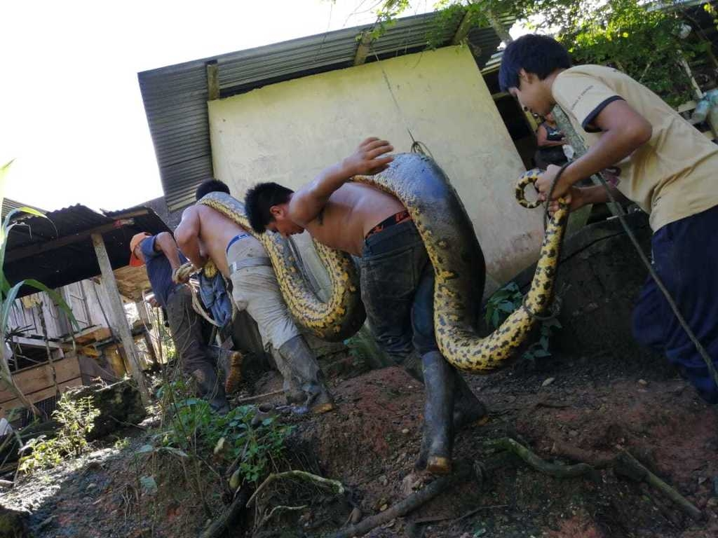 Тот самый друг, который обещал тусоваться до 4 утра, а в итоге вырубился к 11 ночи. 