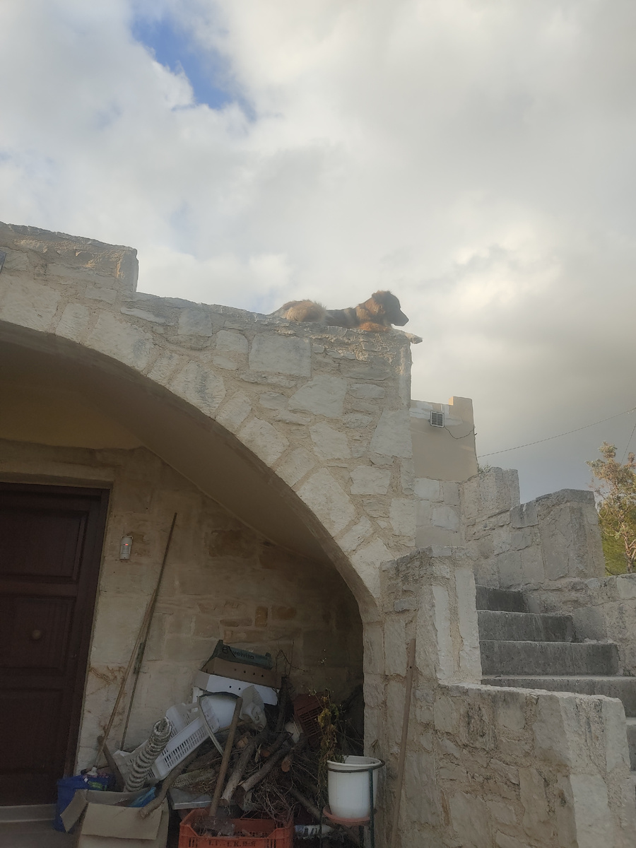 Вокруг дома всегда что - то происходило.