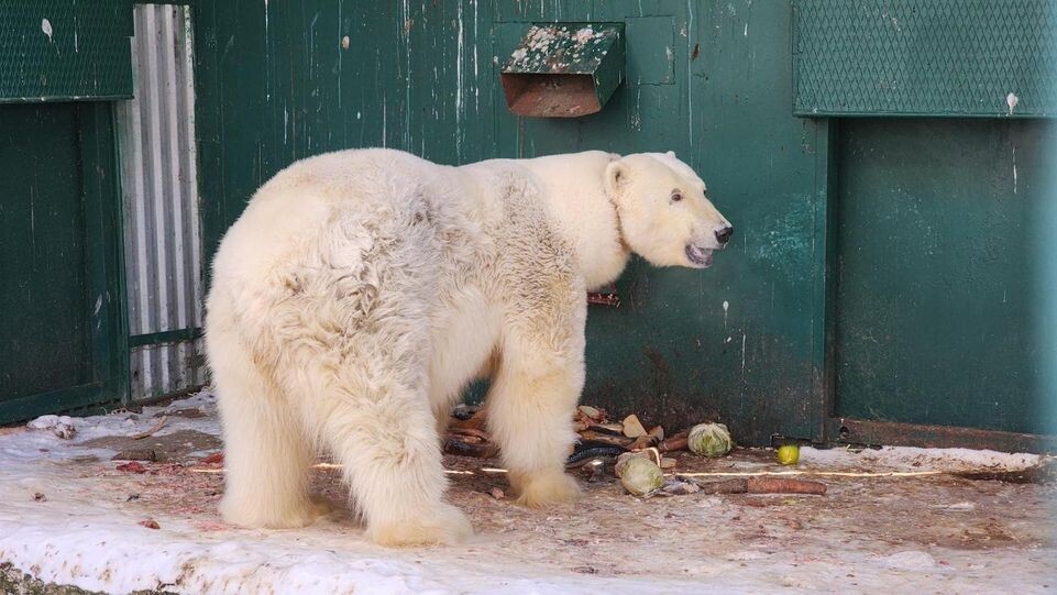     МедиаБанк Подмосковья / Дмитрий Беденко