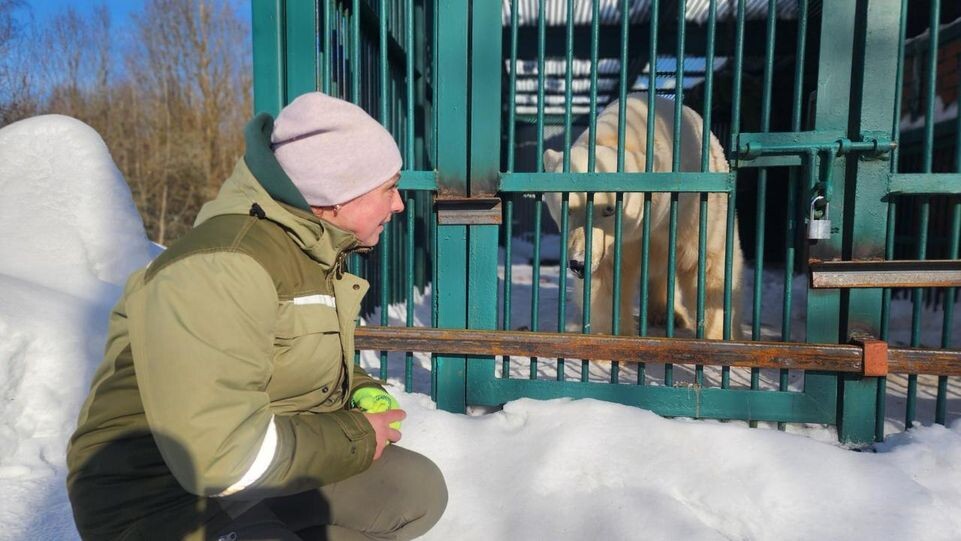     МедиаБанк Подмосковья / Дмитрий Беденко