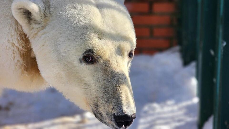    МедиаБанк Подмосковья / Дмитрий Беденко